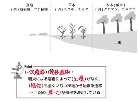 一次遷移|【高校生物基礎】「一次遷移」 